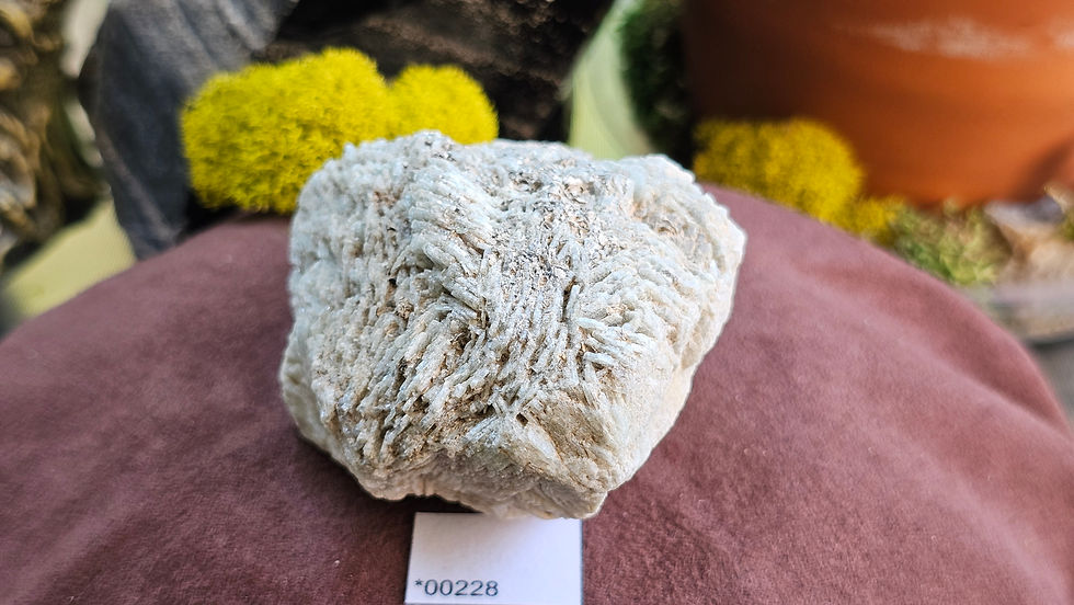 Thumbnail: Rare Albite V. Blue Cleavelandite Jefferson County, Montana (Group 1)