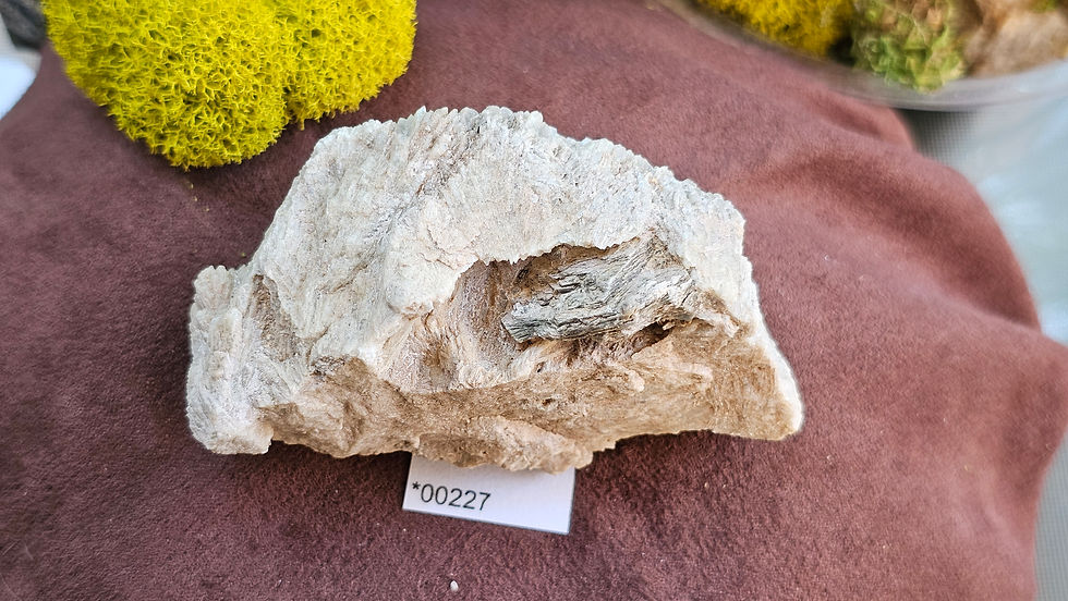 Thumbnail: Rare Albite V. Blue Cleavelandite Jefferson County, Montana (Group 1)