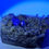 Thumbnail: Purple Fluorite on Quartz Specimen