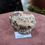 Thumbnail: Small Rhodochrosite + Quartz Specimen, Montana, USA (Group 2)