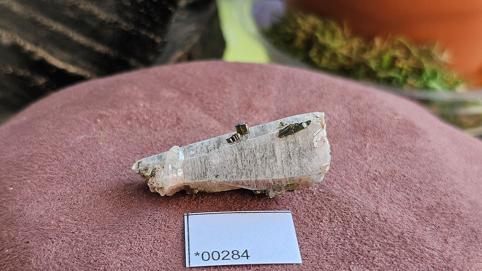 Thumbnail: Small Epidote + Quartz Specimens, Montana, USA Group 1