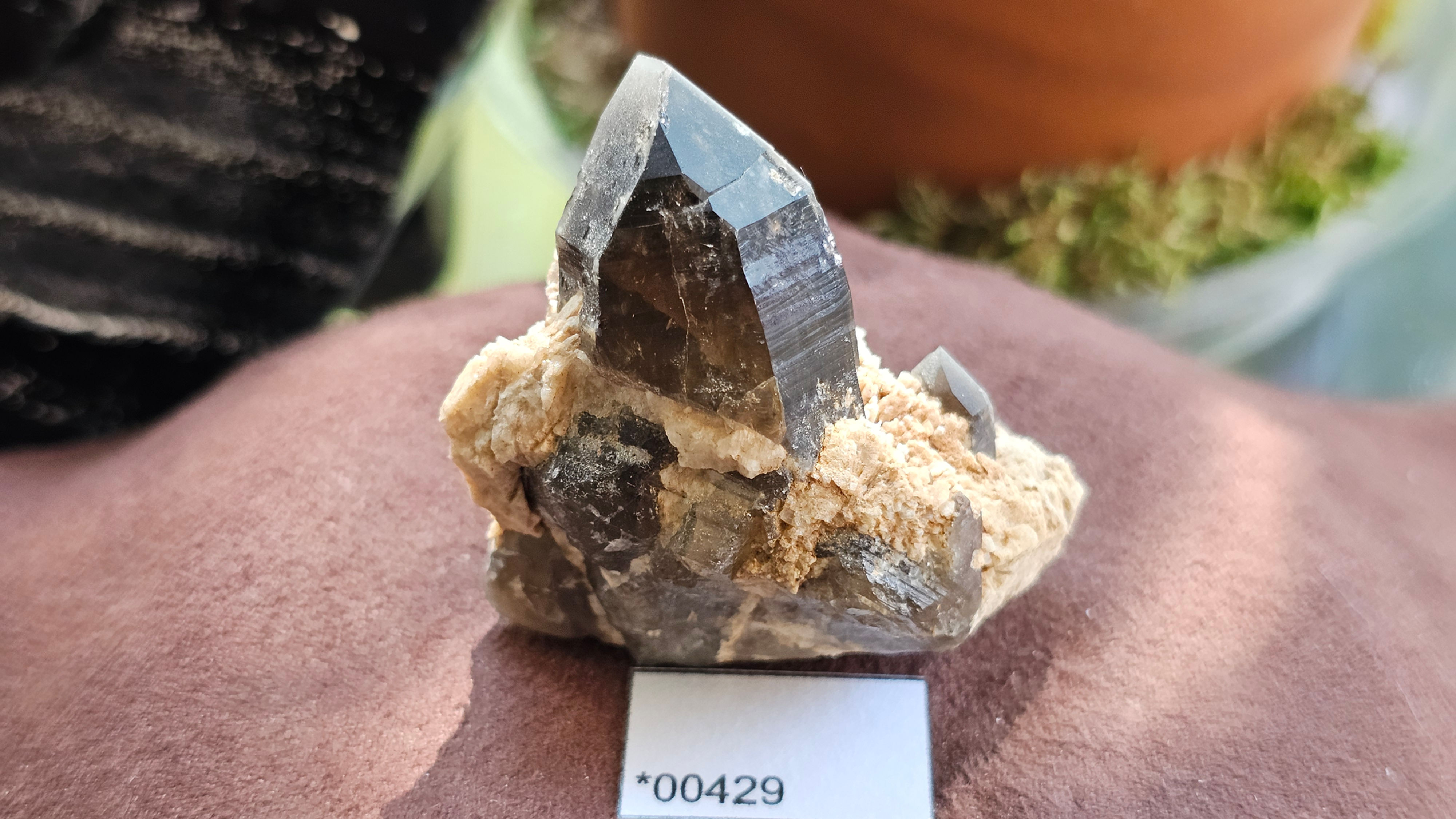 Little Gem Mine Smoky Quartz, Montana, USA (Group5)