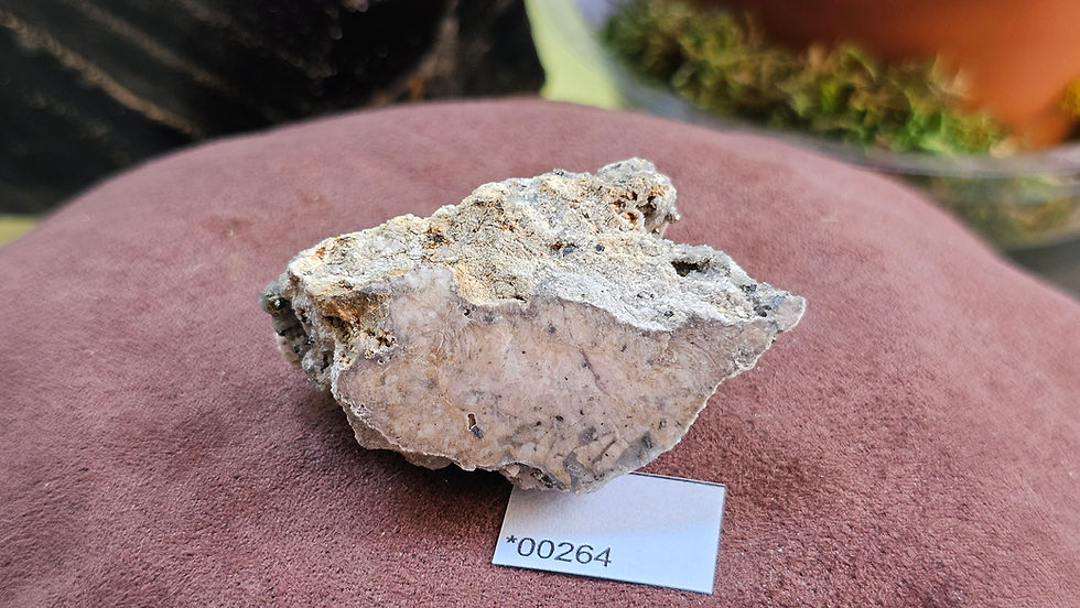 Thumbnail: Small Rhodochrosite + Quartz Specimen, Montana, USA (Group 1)