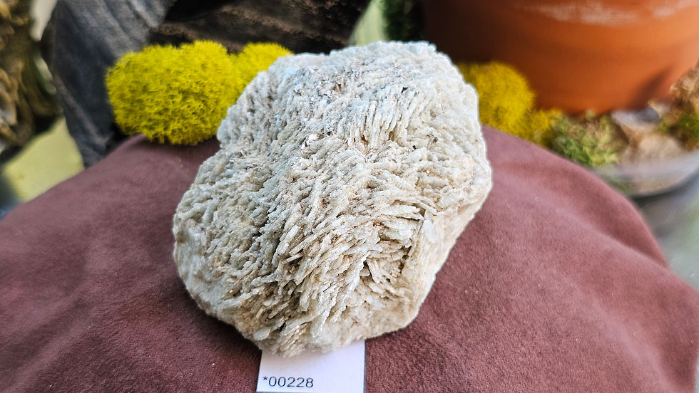 Thumbnail: Rare Albite V. Blue Cleavelandite Jefferson County, Montana (Group 1)
