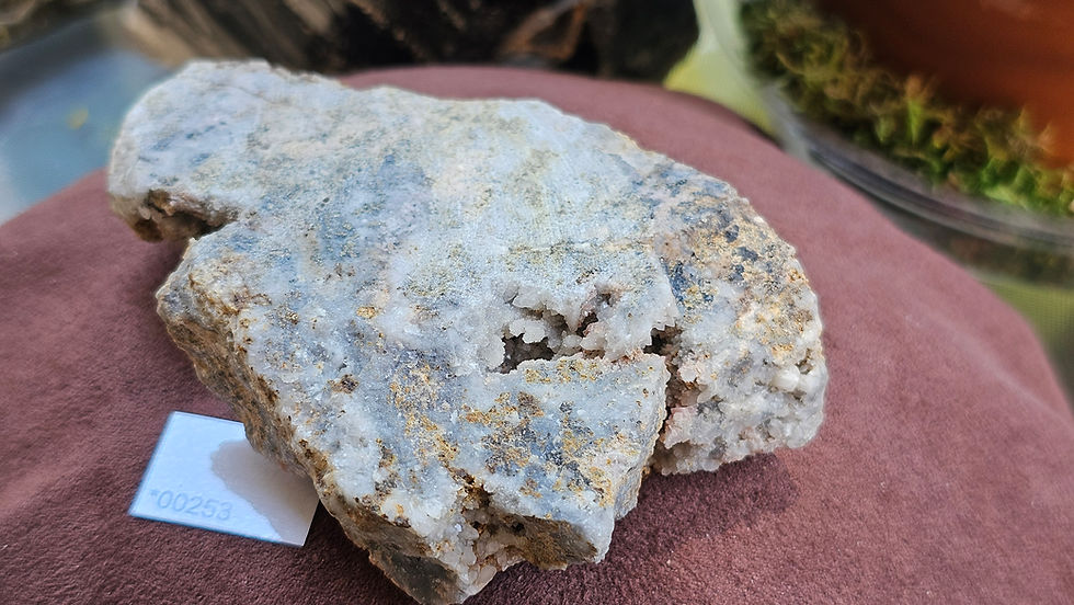 Thumbnail: Large Rhodochrosite + Quartz Specimen, Montana USA
