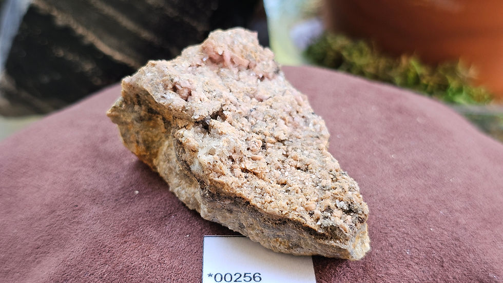 Thumbnail: Medium Rhodochrosite + Quartz Specimen, Montana USA (Group 1)
