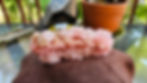 Thumbnail: Pink Halite on Trona