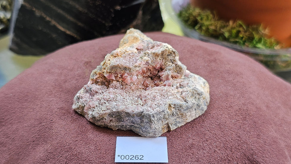 Thumbnail: Medium Rhodochrosite + Quartz Specimen, Montana USA (Group 4)