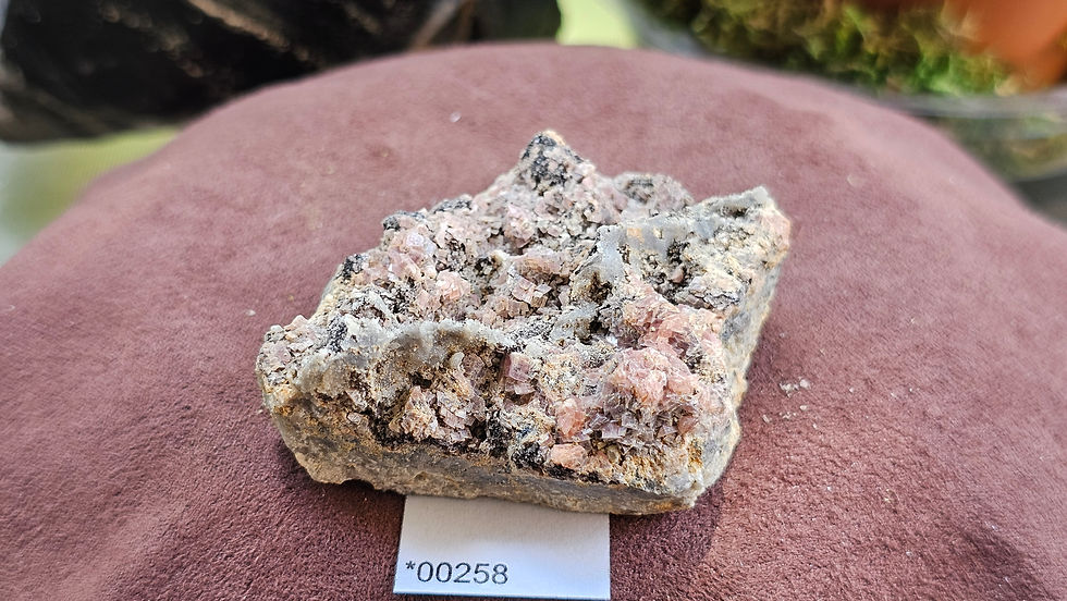 Thumbnail: Medium Rhodochrosite + Quartz Specimen, Montana USA (Group 2)