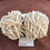 Thumbnail: Selenite Roses
