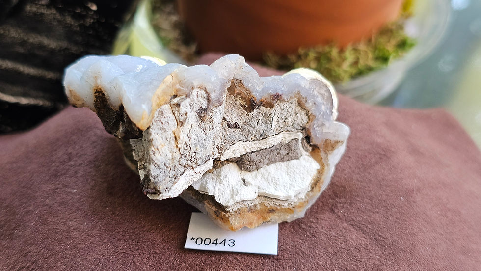 Thumbnail: Chalcedony Specimen