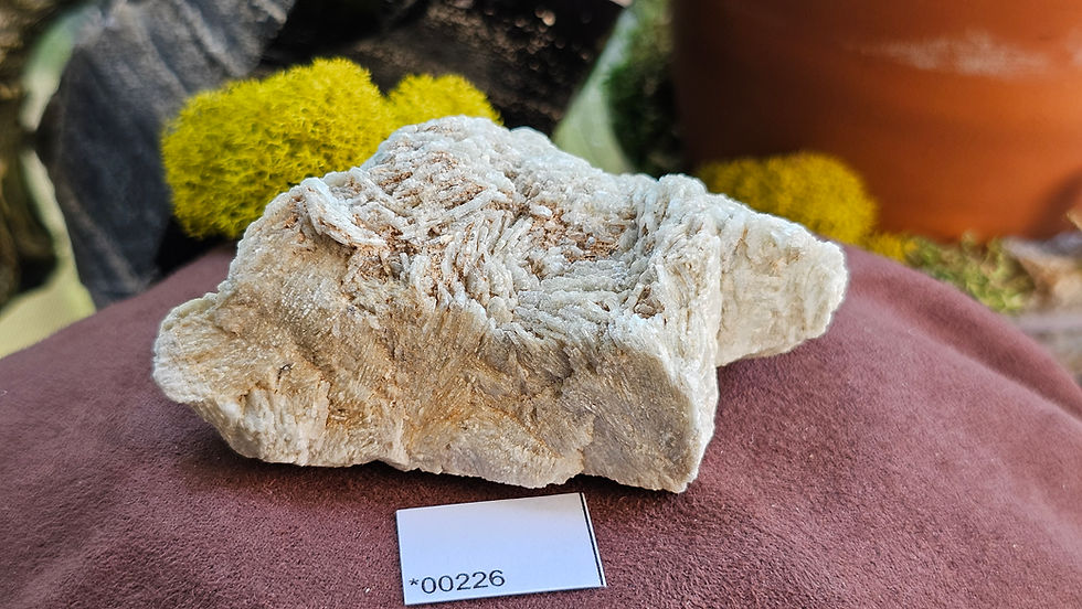 Thumbnail: Rare Albite V. Blue Cleavelandite Jefferson County, Montana (Group 1)