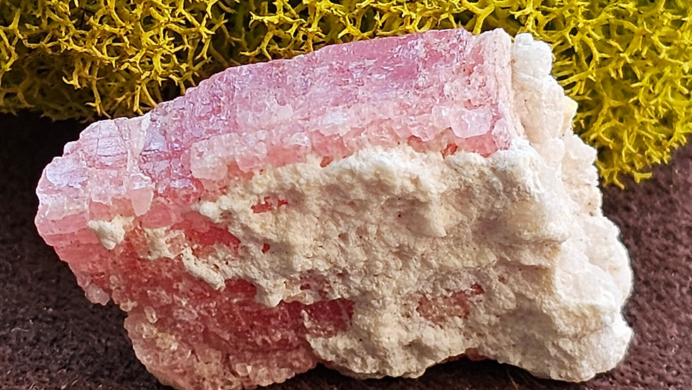 Thumbnail: Rhodochrosite Specimens View 7
