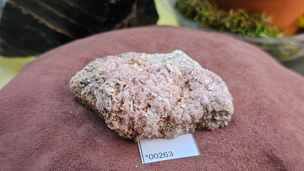 Thumbnail: Medium Rhodochrosite + Quartz Specimen, Montana USA (Group 4)