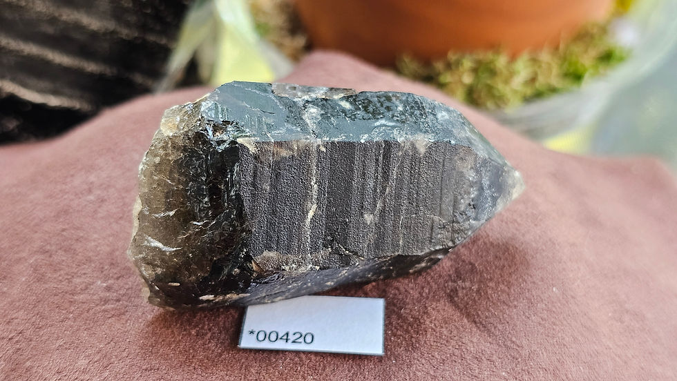 Thumbnail: Little Gem Mine Smoky Quartz, Montana, USA (Group2)
