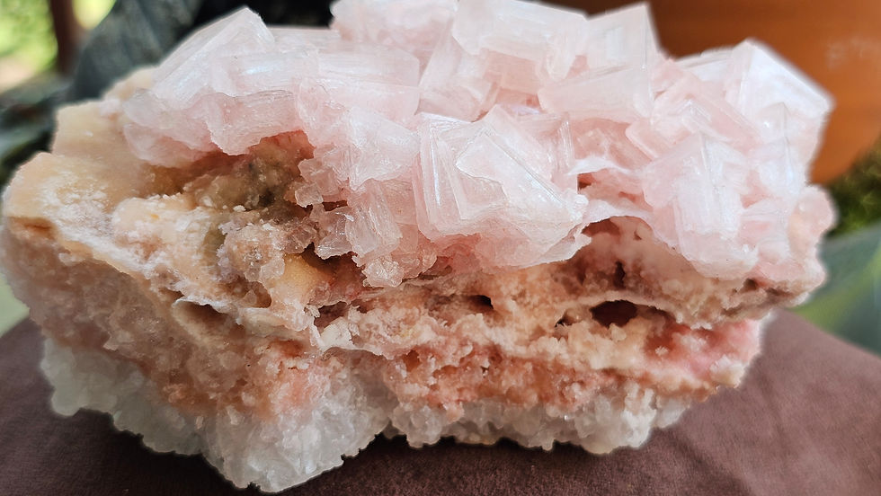 Thumbnail: Pink Halite on Trona