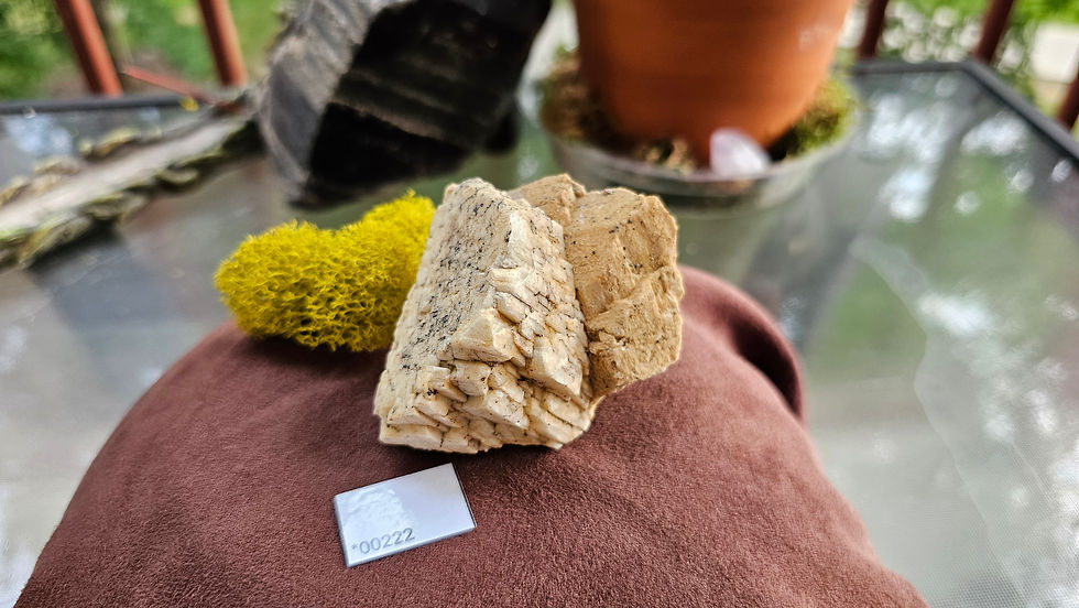 Thumbnail: Microline Specimens