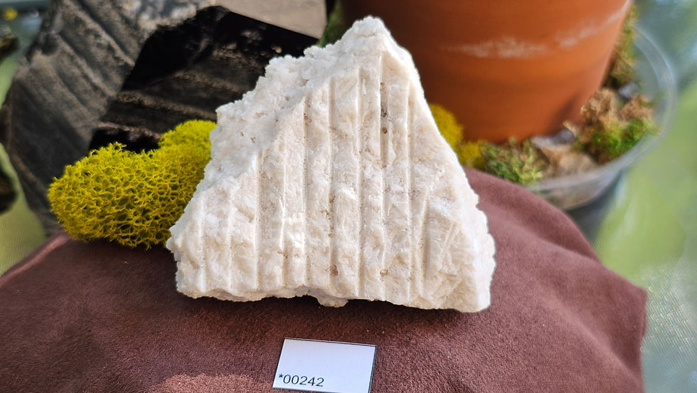 Thumbnail: Fluorite on Dolomite