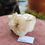 Thumbnail: Chalcedony + Quartz Specimen
