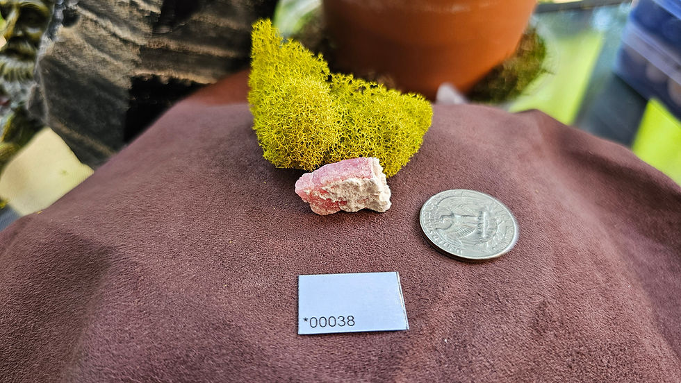 Thumbnail: Rhodochrosite Specimens View 5