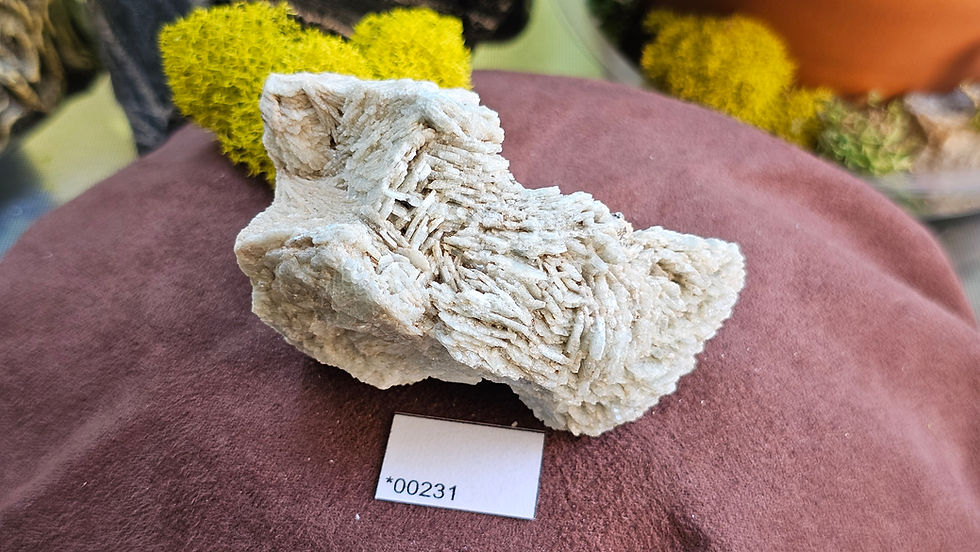 Thumbnail: Rare Albite V. Blue Cleavelandite Jefferson County, Montana (Group 2)