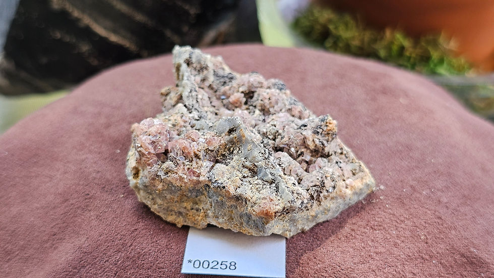 Thumbnail: Medium Rhodochrosite + Quartz Specimen, Montana USA (Group 2)