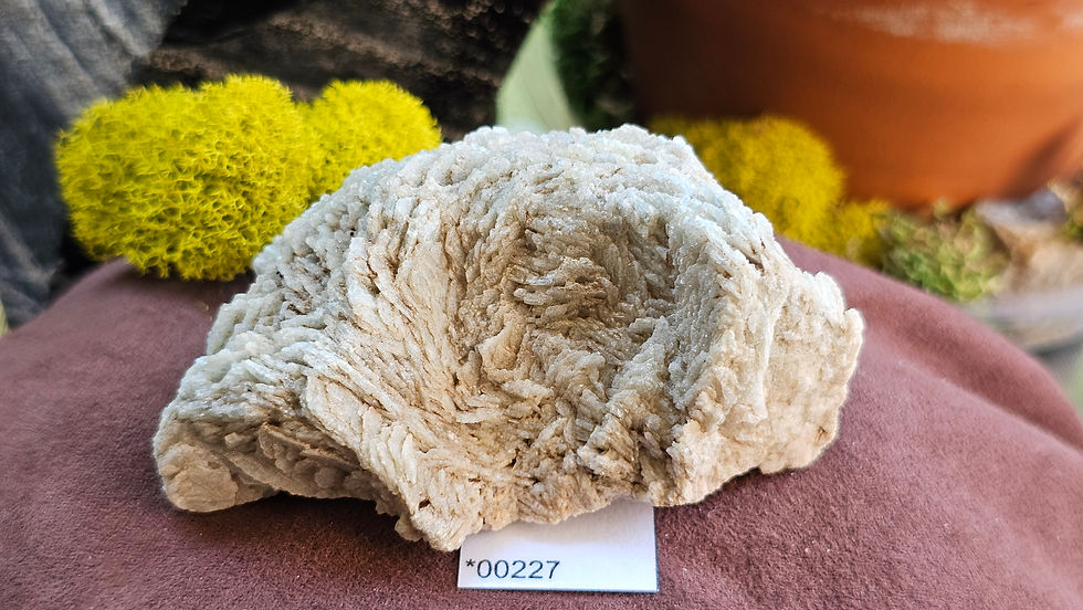 Thumbnail: Rare Albite V. Blue Cleavelandite Jefferson County, Montana (Group 1)