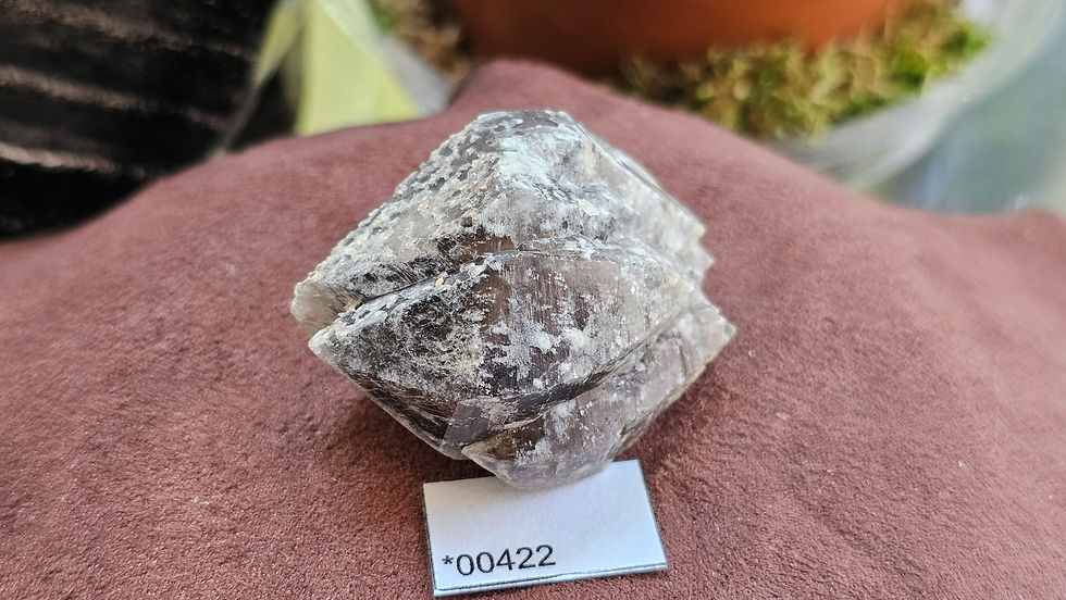 Thumbnail: Little Gem Mine Smoky Quartz, Montana, USA (Group3)