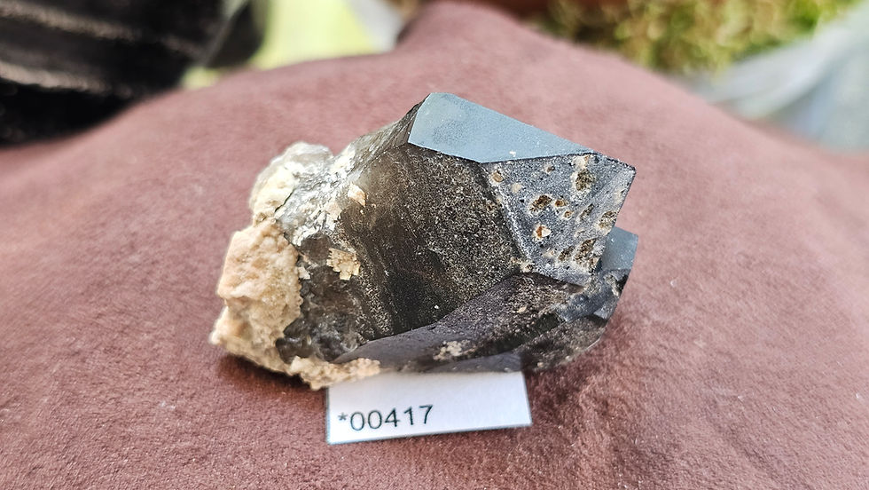 Thumbnail: Little Gem Mine Smoky Quartz, Montana, USA (Group2)