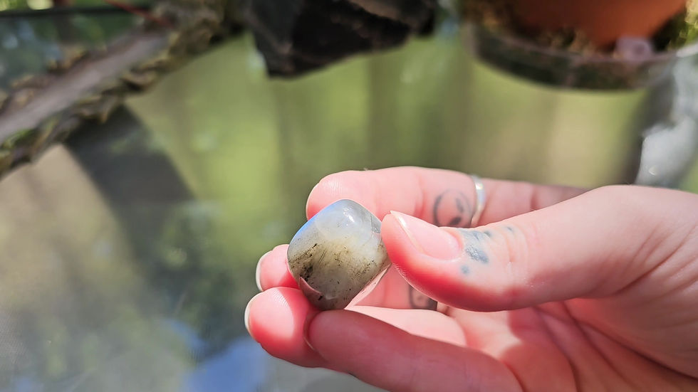 Thumbnail: Labradorite