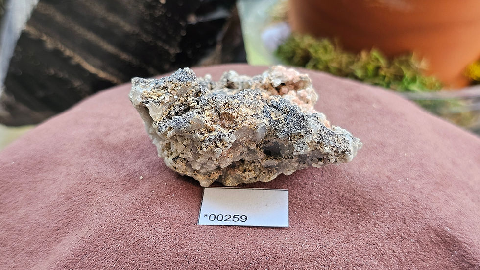 Thumbnail: Medium Rhodochrosite + Quartz Specimen, Montana USA (Group 3)