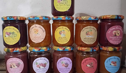 1e53f654-d56a-46ea-8340-264fc6cf9b65 (1).jpeg