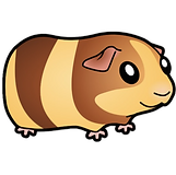 Bigr49eAT_edited_edited.png