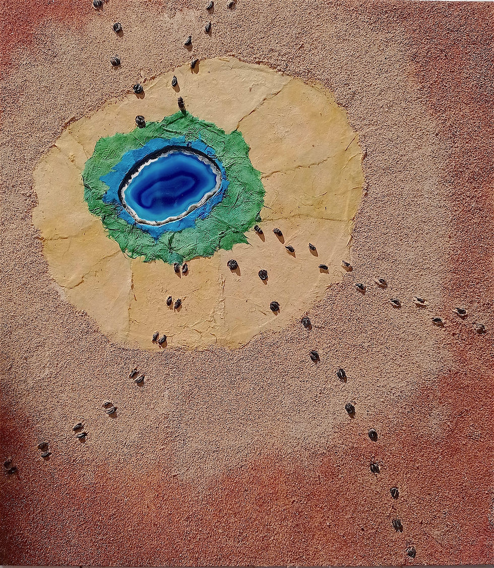 Waterhole 48x42cm copy.jpg