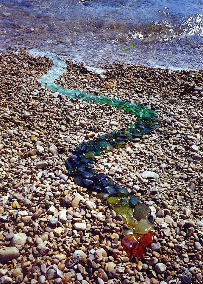 SEA SNAKE copy.jpg