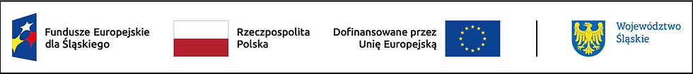 FE SL kolor poziom.png
