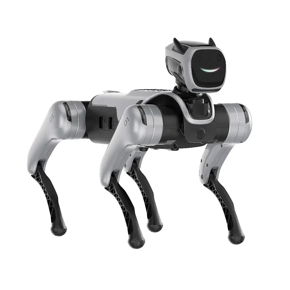 Robot MagicDog