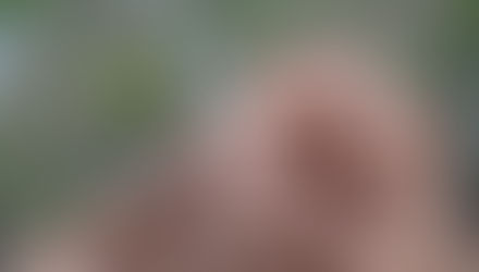 BB Chile - Diciembre 2015 - Resumen de Actividades