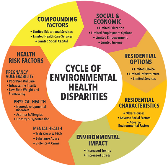 btc_environmetalhealthdisparities.png