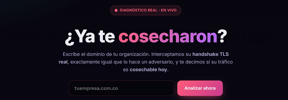 Página web oscura de ciberseguridad con el texto ¿Ya te cosecharon?