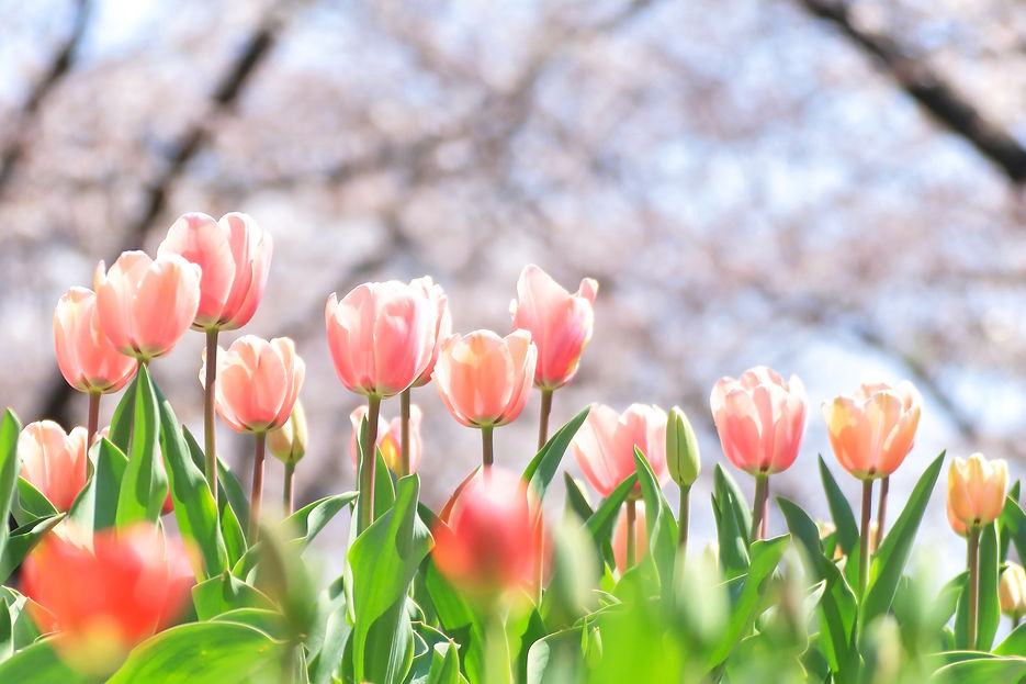 AdobeStock_210852846.jpeg