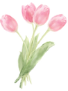 花のイラスト