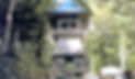 7860509.jpg