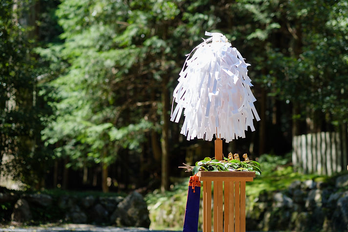 AdobeStock_292261631.jpeg