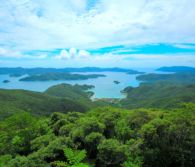 鹿児島県奄美市のレンタカーならくろうさぎレンタカー 鹿児島県奄美市のレンタカーならくろうさぎレンタカー
