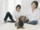 犬