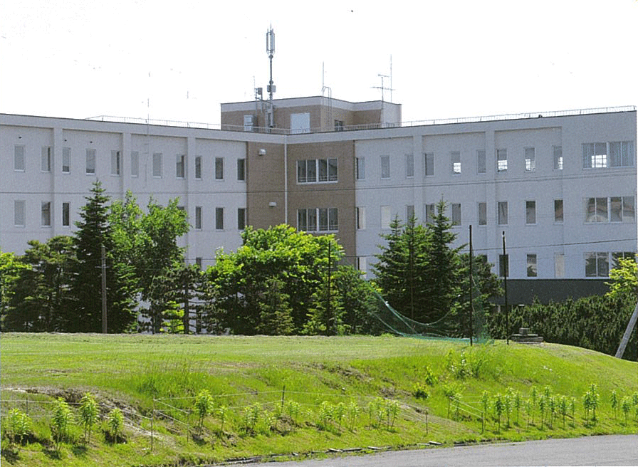 白い壁の建物