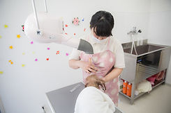 新百合ヶ丘トリミング