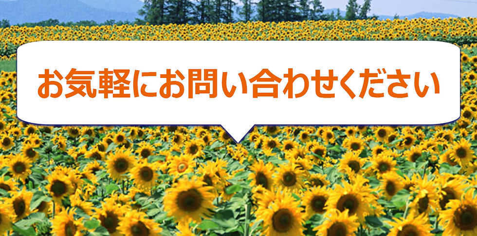 ひまわり畑