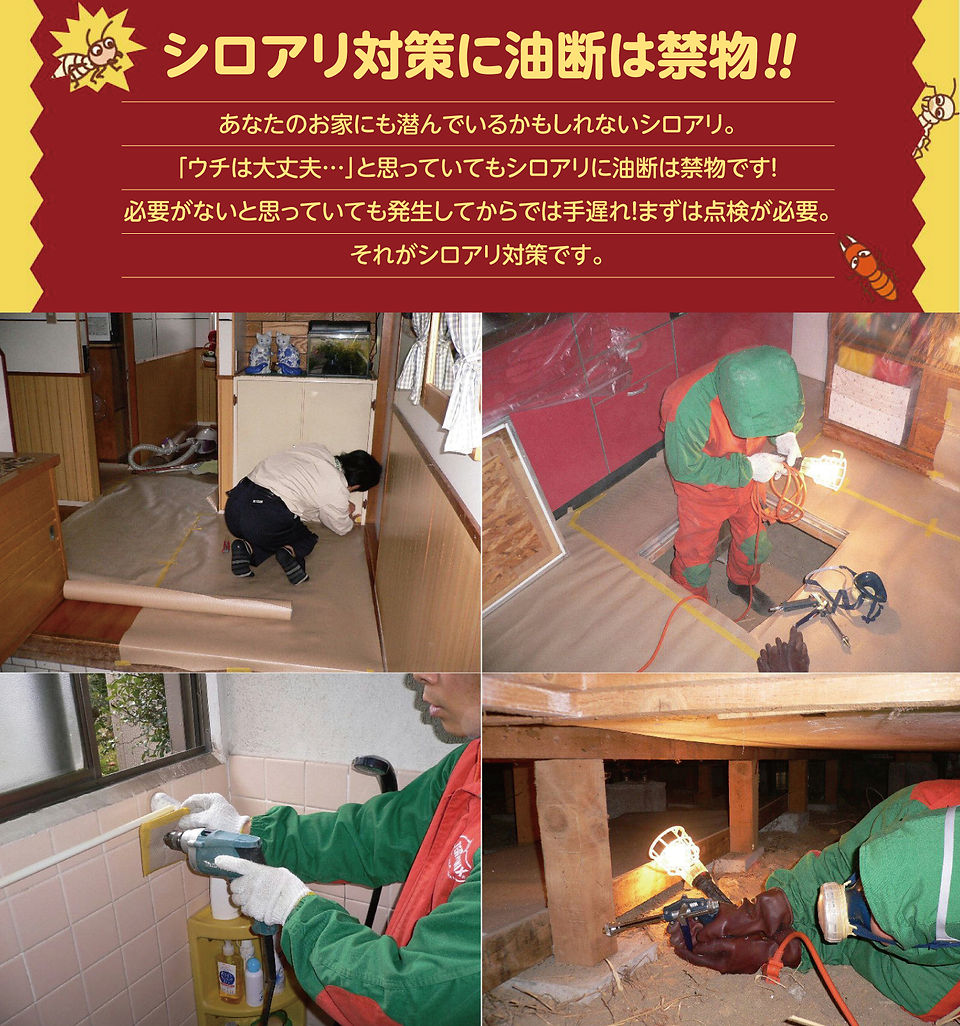 シロアリ対策